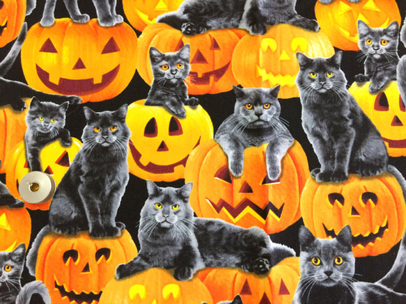 50×50】海外 USA ファブリック ハロウィンデザイン 黒猫＆ジャック