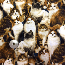 【50×50】海外 USA ファブリック　モフモフロングヘアー猫ちゃん大集合 1枚目の画像