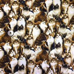 【50×50】海外 USA ファブリック　モフモフロングヘアー猫ちゃん大集合 2枚目の画像