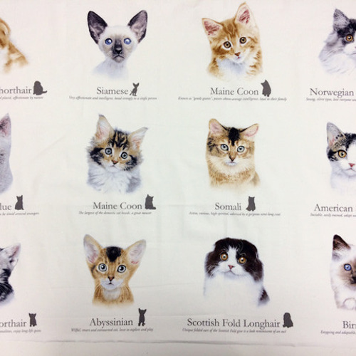 海外 USA ファブリック 猫図鑑パネル生地 生地 ハンドメイド手芸店