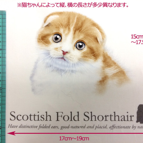 海外 USA ファブリック 猫図鑑パネル生地 生地 ハンドメイド手芸店