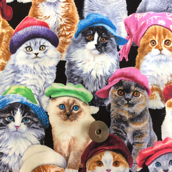 【50×45】海外 USA ファブリック　帽子をかぶった猫ちゃん　生地 2枚目の画像