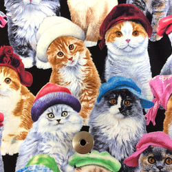 【50×45】海外 USA ファブリック　帽子をかぶった猫ちゃん　生地 1枚目の画像