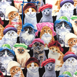 【50×45】海外 USA ファブリック　帽子をかぶった猫ちゃん　生地 3枚目の画像