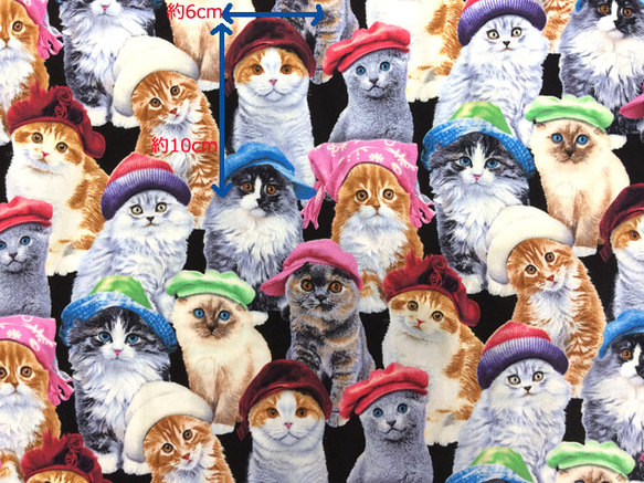 【50×45】海外 USA ファブリック　帽子をかぶった猫ちゃん　生地 3枚目の画像