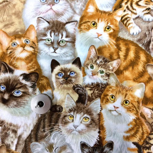 50×50】海外 USA ファブリック もふもふ猫ちゃん大集合 生地 生地