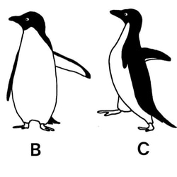 ペンギンスタッカー 5枚目の画像