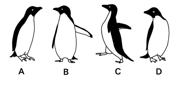 ペンギンスタッカー 5枚目の画像