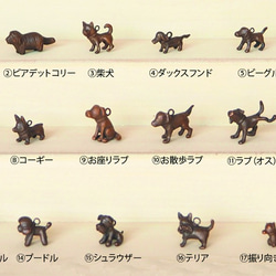 ドングリランプの箱部屋(番犬付き) 5枚目の画像