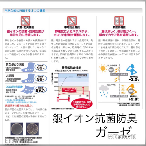  第6張的照片