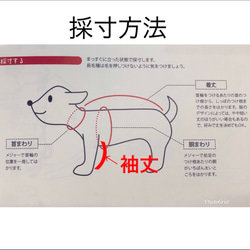 冬用暖かパーカー　フラワーレース・犬服 8枚目の画像