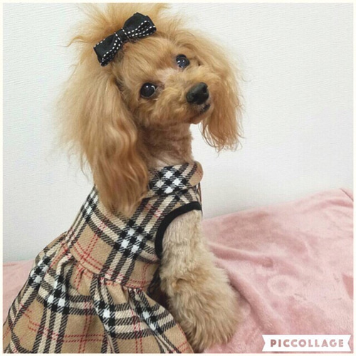 パインチロル★◎ハンドメイド◎犬服◎ワンピース◎（92）（90） 犬服 ハンドメイド 犬ワンピ