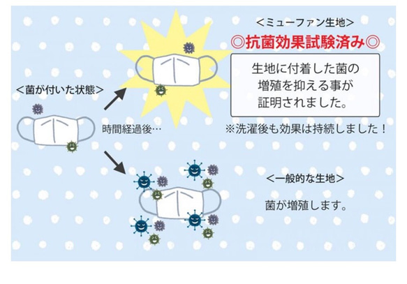  第7張的照片