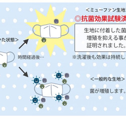  第7張的照片