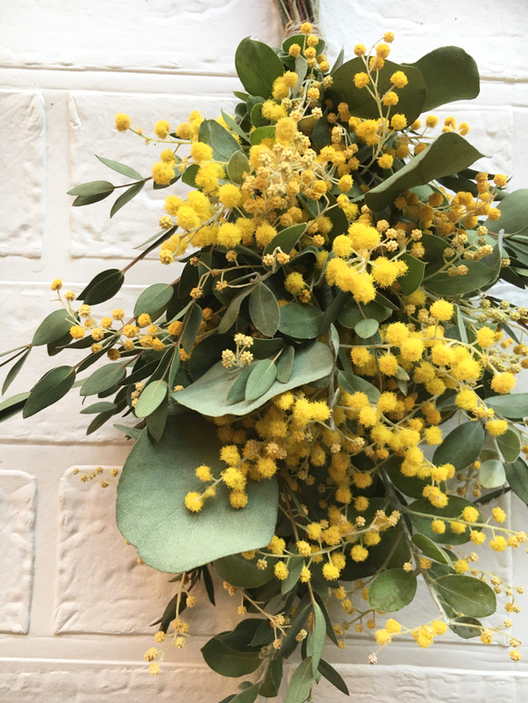 春呼ぶ花ミモザとユーカリのスワッグ 3枚目の画像