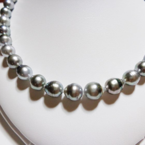 極上】南洋タヒチ産黒蝶真珠パールネックレスシルバー