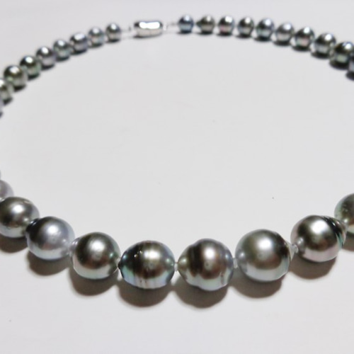 専用　☆黒蝶真珠 バロック ブラックパール ネックレス □黒蝶真珠バロック（南洋ブラックパール）ネックレス□ ネックレス