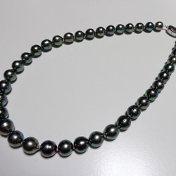 ■黑珍珠（南海大溪地黑珍珠）項鍊■ 第2張的照片