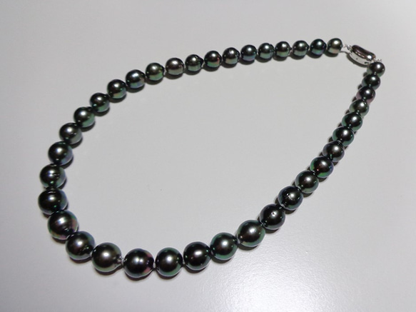 ■黑珍珠（南海大溪地黑珍珠）項鍊■ 第2張的照片