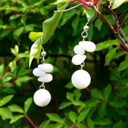 白珊瑚と白蝶貝の可愛いピアス: White Berries 1枚目の画像