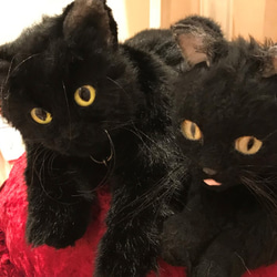 【オーダー制作】にゃんこバッグ　黒猫　（ハンドバッグタイプ）受注生産 2枚目の画像