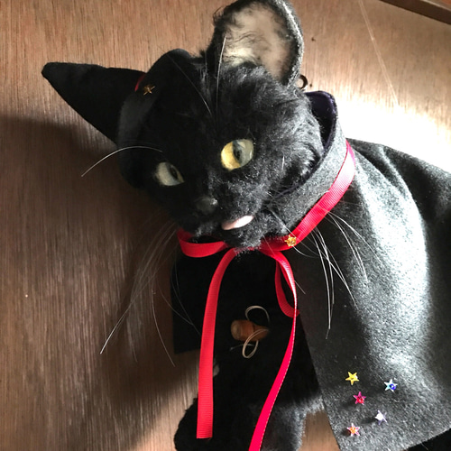 ハンドメイド マスクオーダー受付&生地見本 猫 アニマル