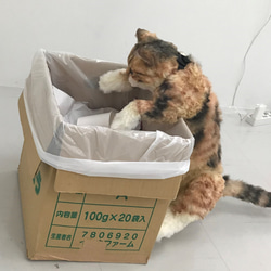 猫の造形作品　さび猫の【KAO】 3枚目の画像