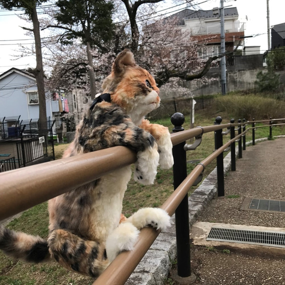 猫の造形作品　さび猫の【KAO】 6枚目の画像