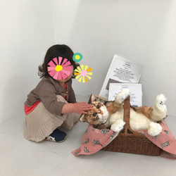 猫の造形作品　さび猫の【KAO】 10枚目の画像