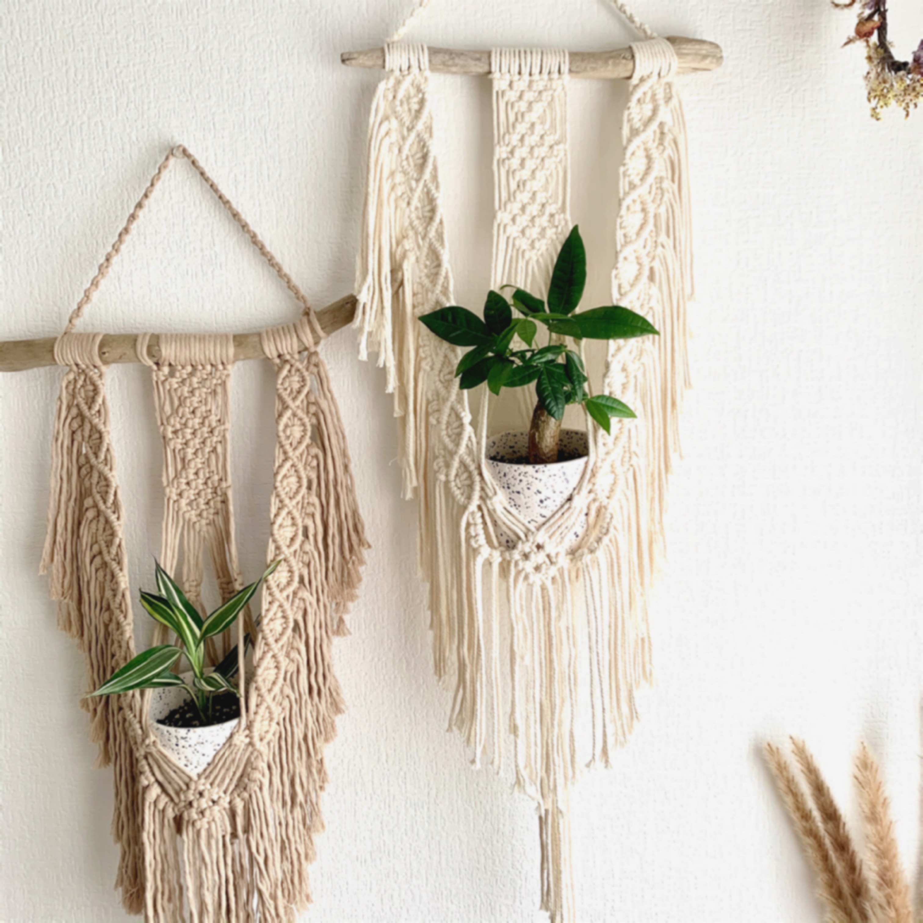 流木 マクラメ プラントハンガー 2点セット No.11 流木 マクラメ プラントハンガー 2点セット No.11 流木 プラント