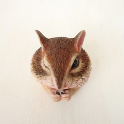 Chipmunk with lovely Elf Hat 5枚目の画像