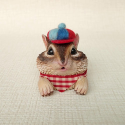 Chipmunk in a tin can, Squirrel with a lovely hat 6枚目の画像