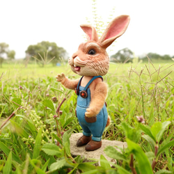 穿吊帶褲的兔子澎皮老爹 第2張的照片