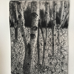 銅版版画-「目のシリーズ-森」 3枚目の画像