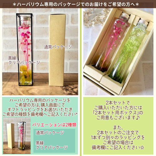 爽やか*ハーバリウム 』 ハーバリウム・植物標本 DEMI 通販｜Creema  