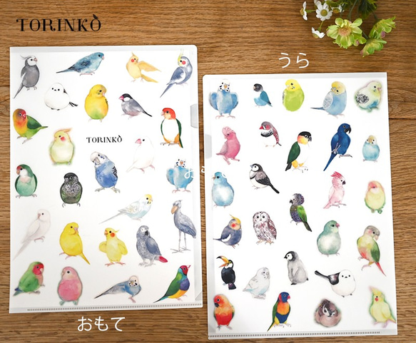 A4クリアファイル「52羽の鳥・インコ・オウムたち」TORINKO 1枚目の画像