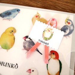 A4クリアファイル「52羽の鳥・インコ・オウムたち」TORINKO 8枚目の画像