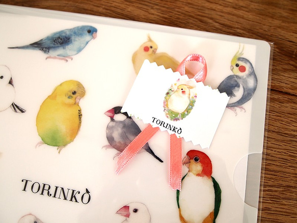 A4クリアファイル「52羽の鳥・インコ・オウムたち」TORINKO 8枚目の画像