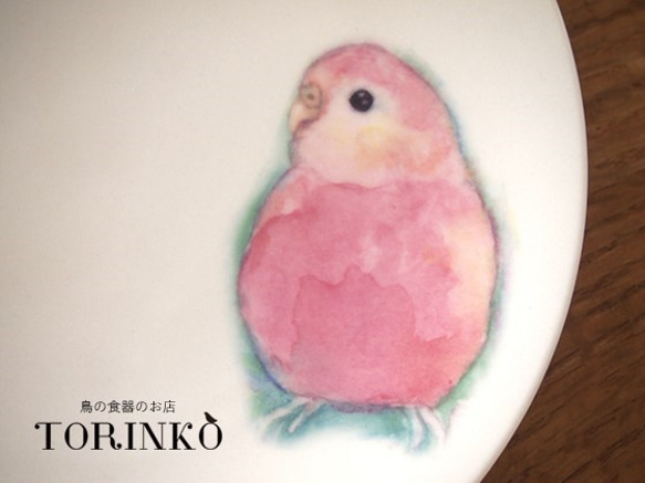 インコ　お皿　アキクサインコ　Φ21ｃｍ　 2枚目の画像
