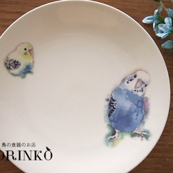 セキセイインコ　ブルー＆イエロー　お皿　Φ21ｃｍ　 1枚目の画像