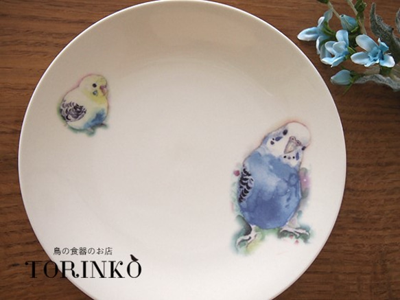 セキセイインコ　ブルー＆イエロー　お皿　Φ21ｃｍ　 1枚目の画像