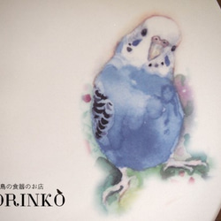 セキセイインコ　ブルー＆イエロー　お皿　Φ21ｃｍ　 2枚目の画像