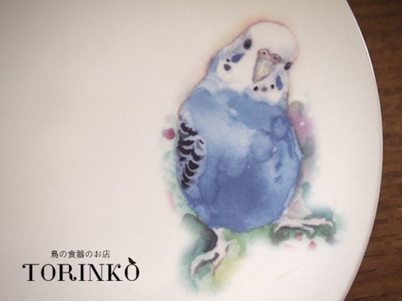 セキセイインコ　ブルー＆イエロー　お皿　Φ21ｃｍ　 2枚目の画像
