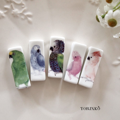 ハルクインコンゴウインコ ズグロシロハラインコ ウロコインコ