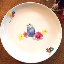 セキセイインコ 美濃焼き お皿 大皿 TORINKO 通販 2631772｜Creema