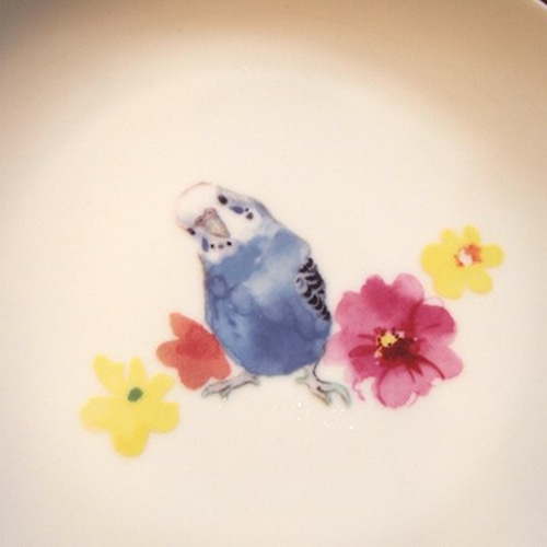 セキセイインコ 美濃焼き お皿 大皿 TORINKO 通販 2631772｜Creema