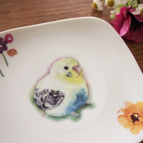 セキセイインコ 美濃焼き お皿 大皿 TORINKO 通販 2648489｜Creema