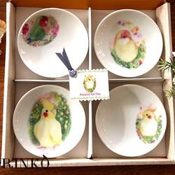 インコ・鳥 小皿・豆皿 4点セット（80羽の中からお好きな鳥・インコを