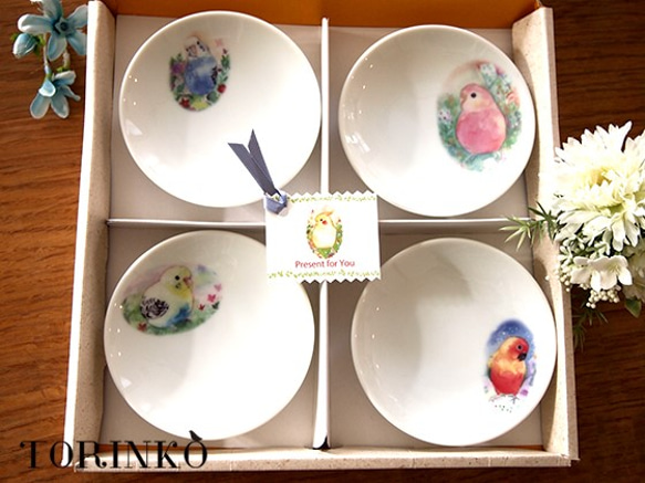 インコ・鳥 小皿・豆皿 4点セット（80羽の中からお好きな鳥