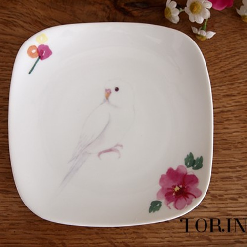 セキセイインコ 美濃焼き お皿 中皿 TORINKO 通販 3285114
